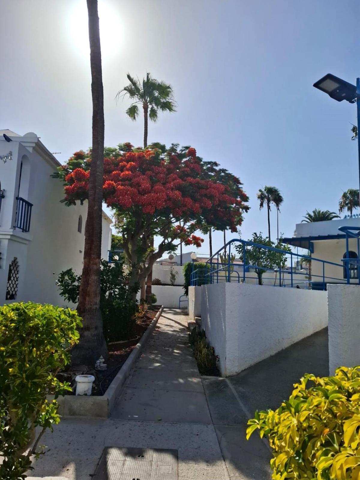 Casa Romantico - Playmar - Maspalomas